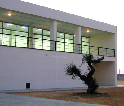 La imagen se ampliar&aacute; en un popup