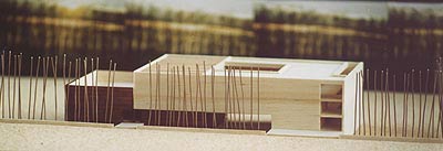 La imagen se ampliar&aacute; en un popup